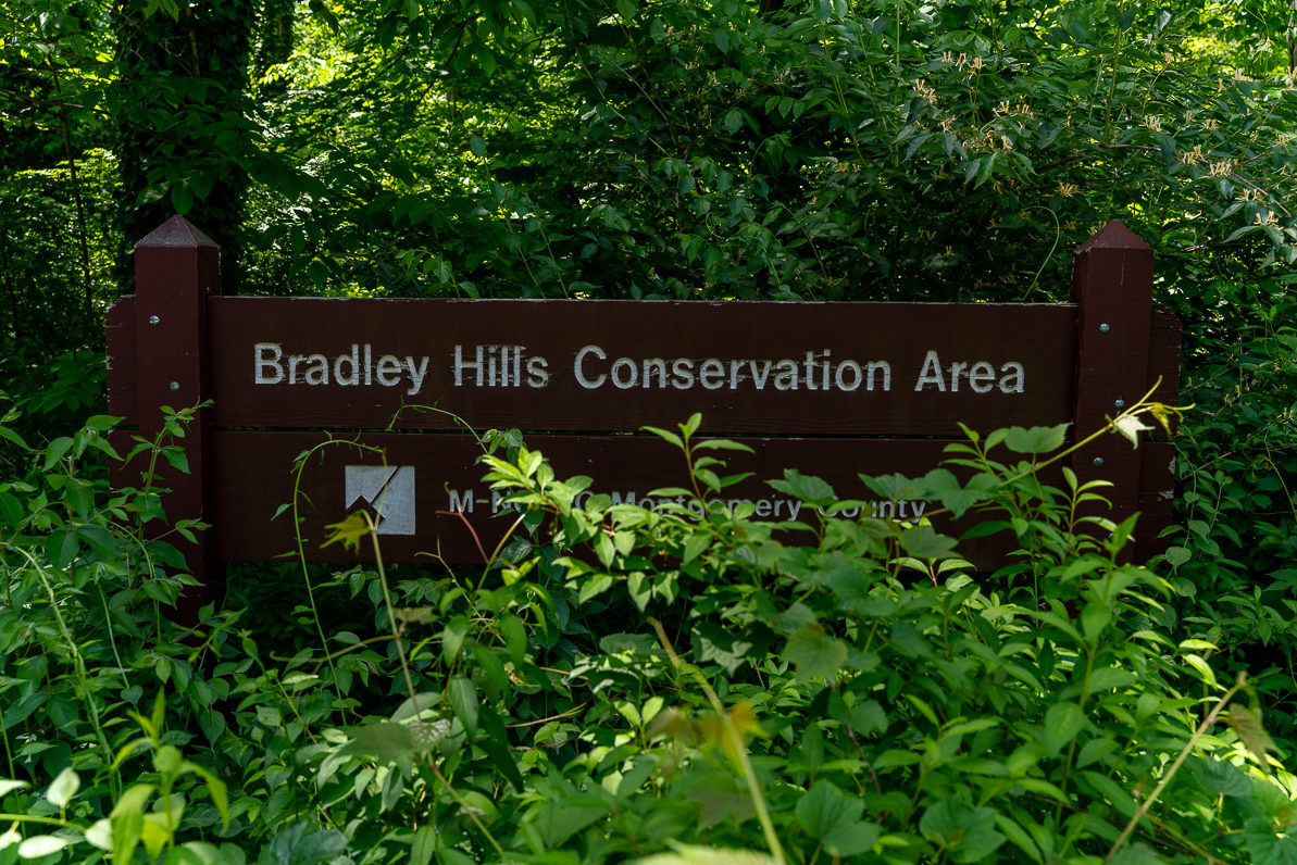 Bradley Hills Neighborhood Conservation Area