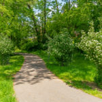 Elmhirst Parkway Neighborhood Conservation Area