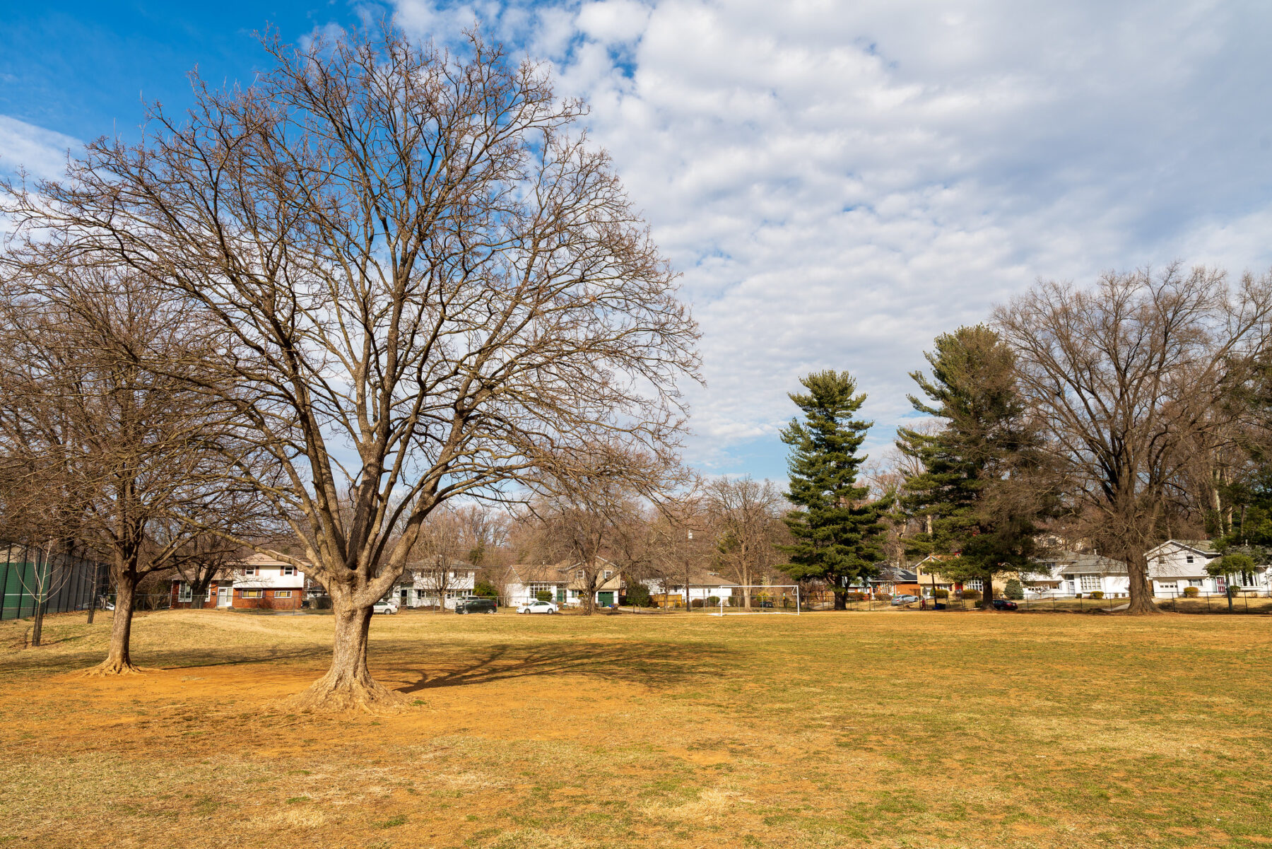 Athletic Field Bradley Local Park