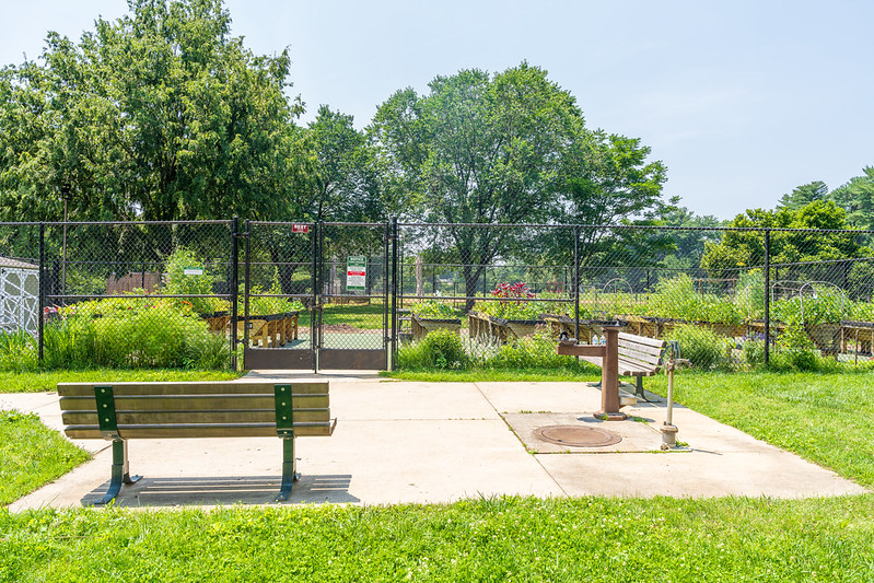 Community garden at Nolte Local Park 2025