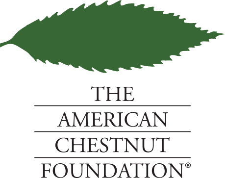 Logo for American Chestnut Foundation