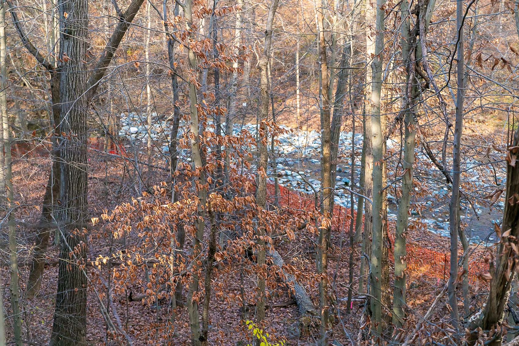 Booze Creek Stream Valley Park