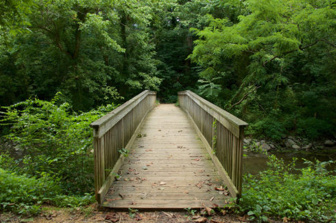 Bridge Cedar Island Park