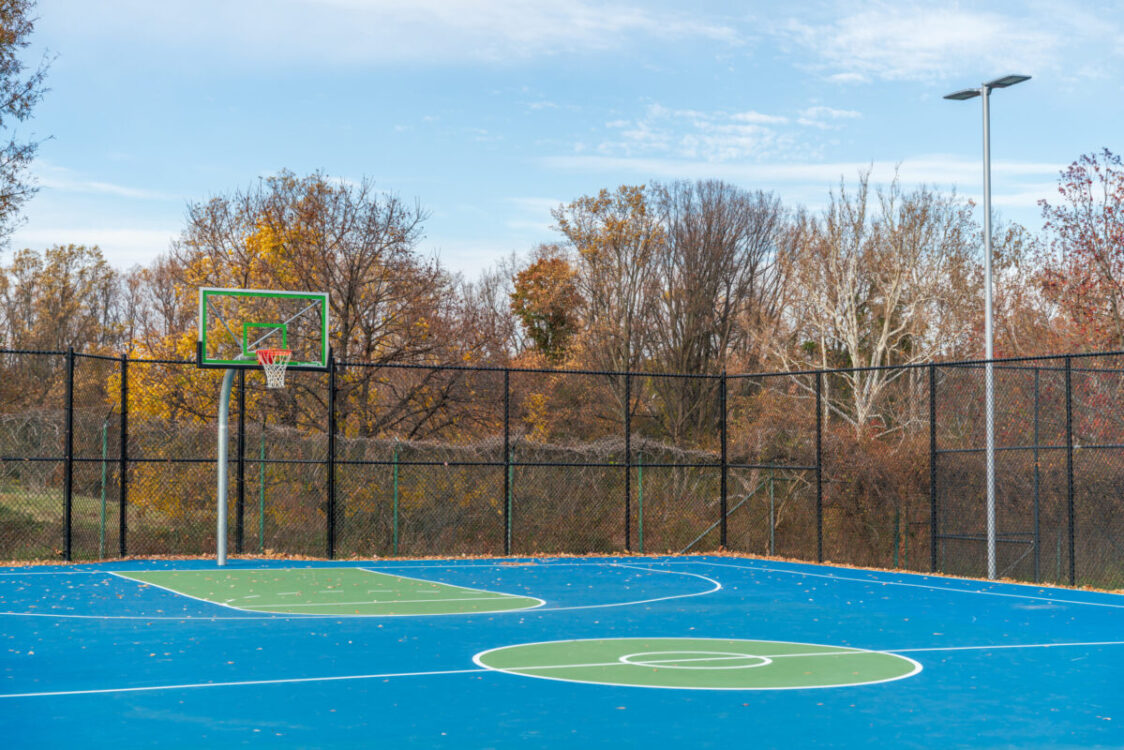 Hillandale Local Park basketball court