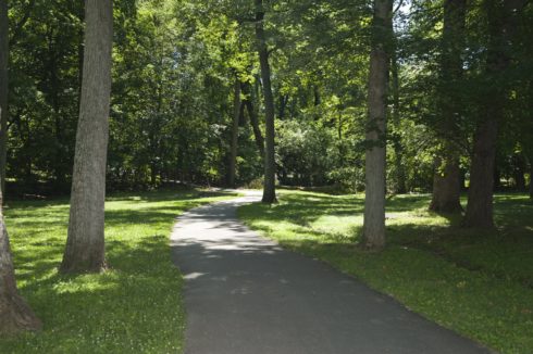 Pathway in Dale Drive Neighborhood Park