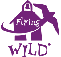 logo flying wild