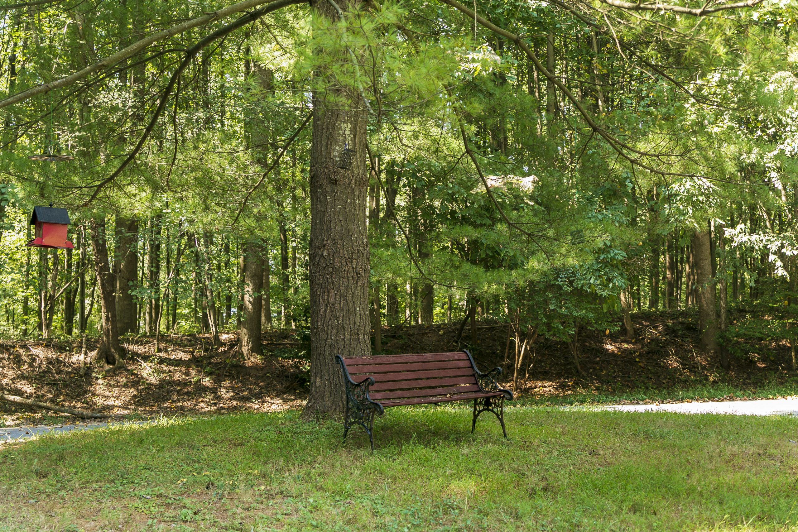 Griffith Local Park Montgomery Parks