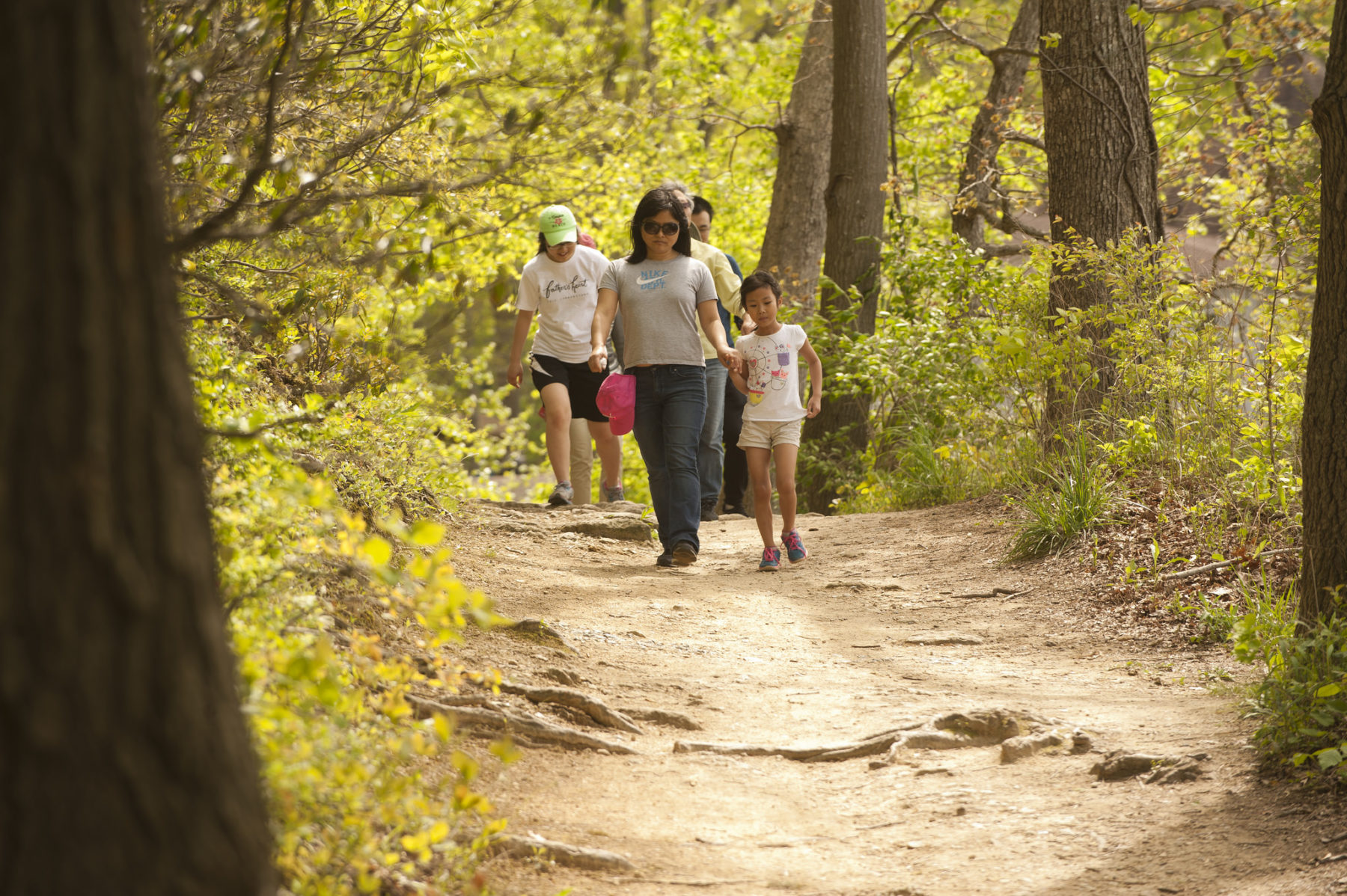 Family hiking along trail