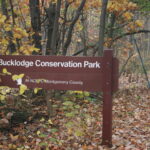 Bucklodge Conservation Park