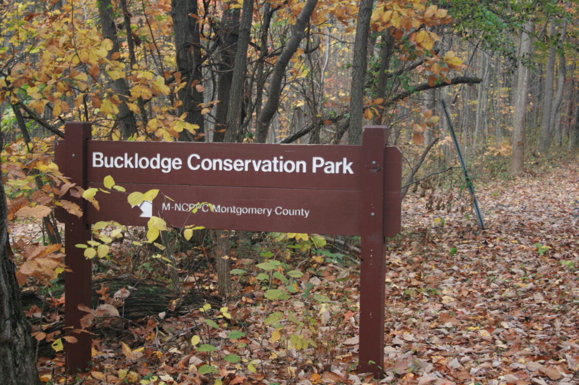 Bucklodge Conservation Park