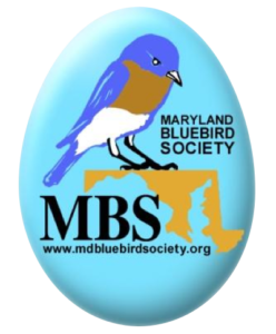 logo md bluebird