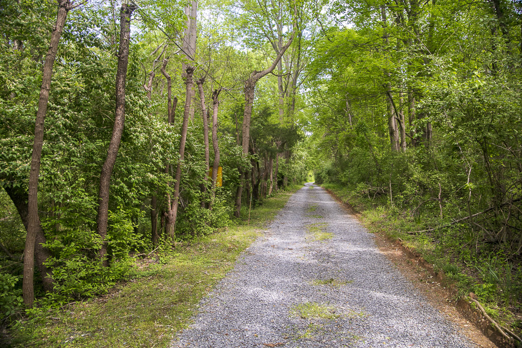 Trail at Miles Road Neighborhood Conservation Area