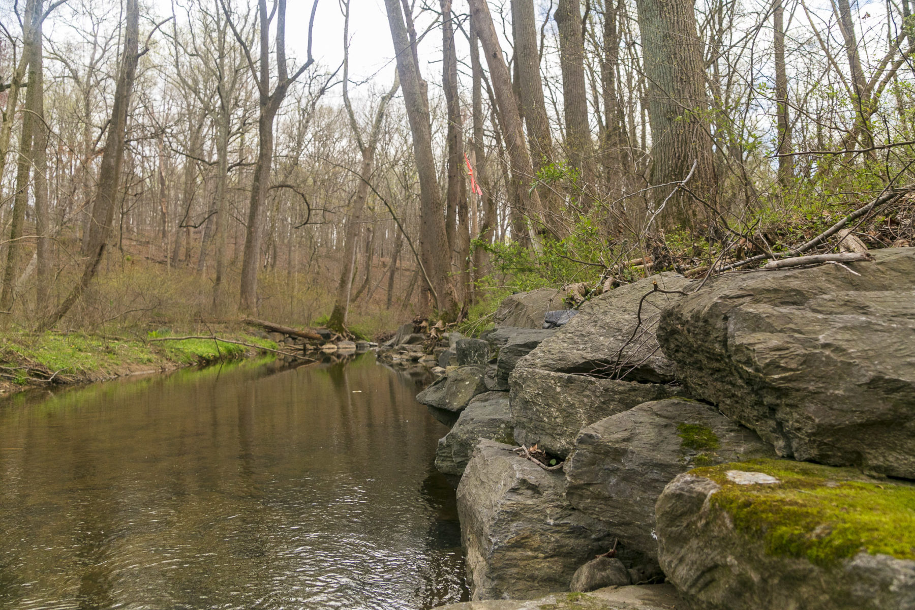 Paint Branch Stream Valley Park