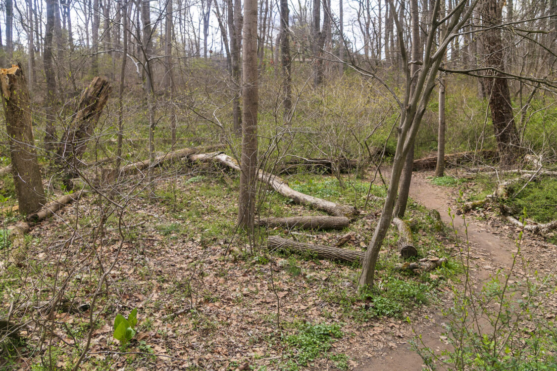 Trail at Paint Branch Neighborhood Park