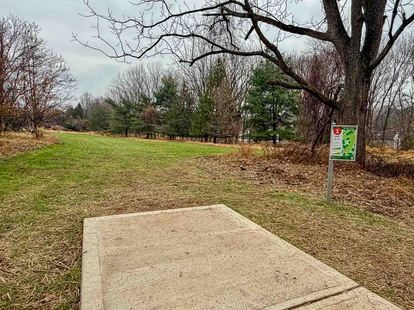 Disc Golf at Northwest Branch Recreational Park