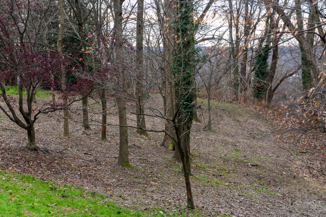 Potomac Palisades Conservation Park