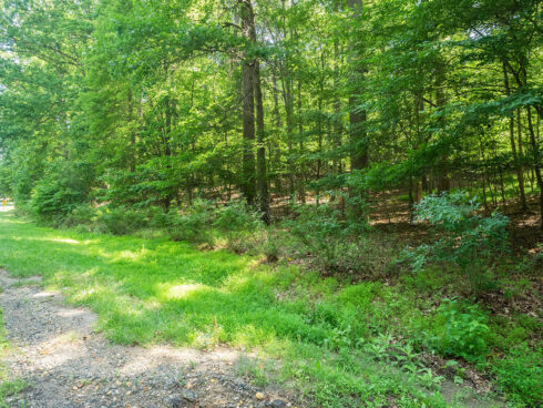 wooded area conservation area