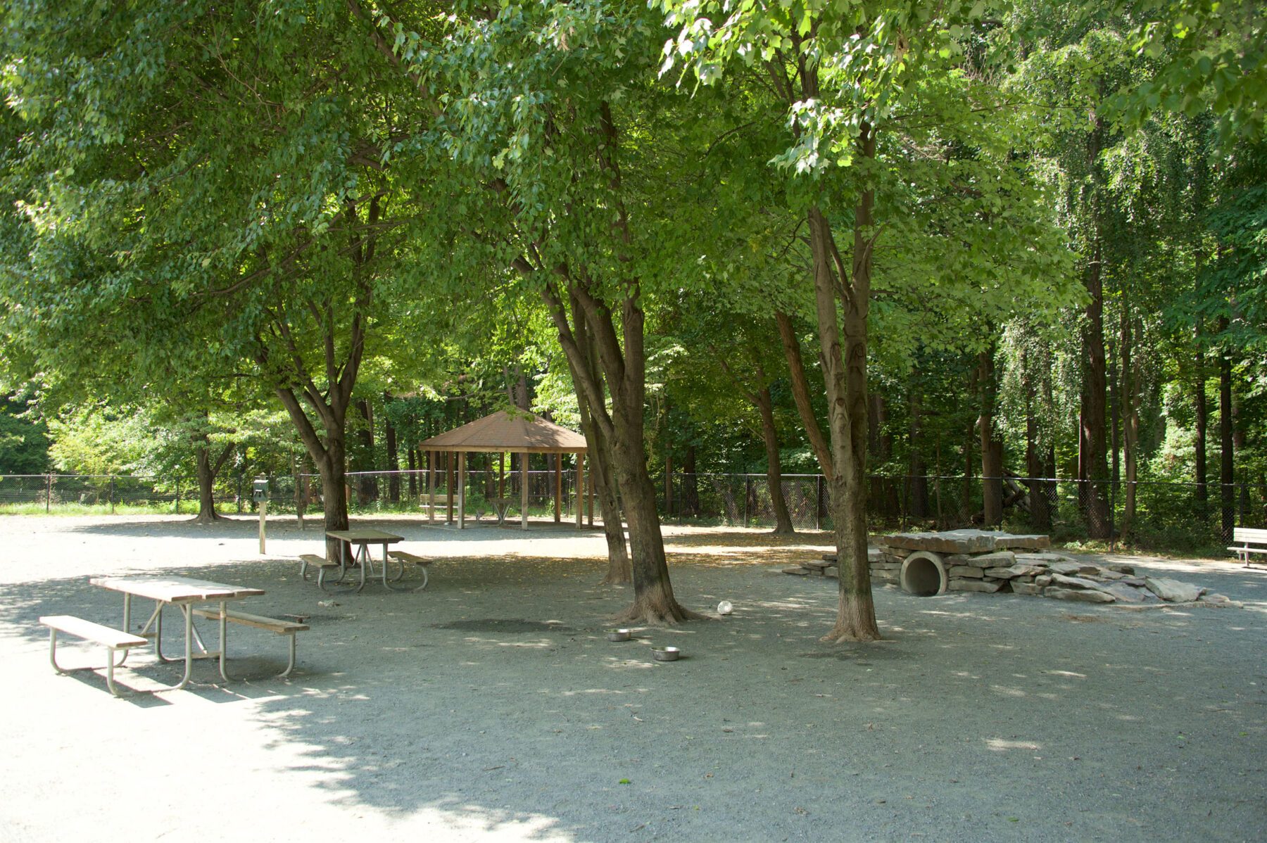 Wheaton Regional Park dog park.