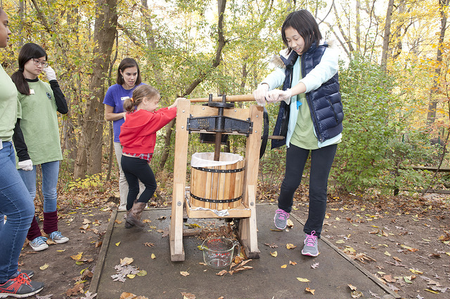 People participating in an event with pushing a lever over a wooden barrel.