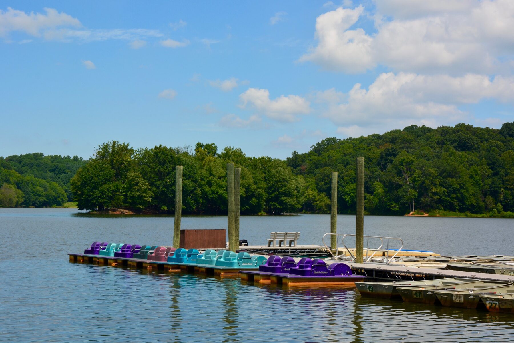 Lake Needwood Boats