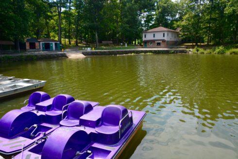 Purple Pedal Boats