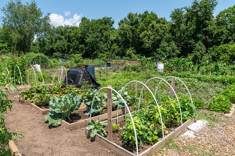 Briggs Chaney Community Garden