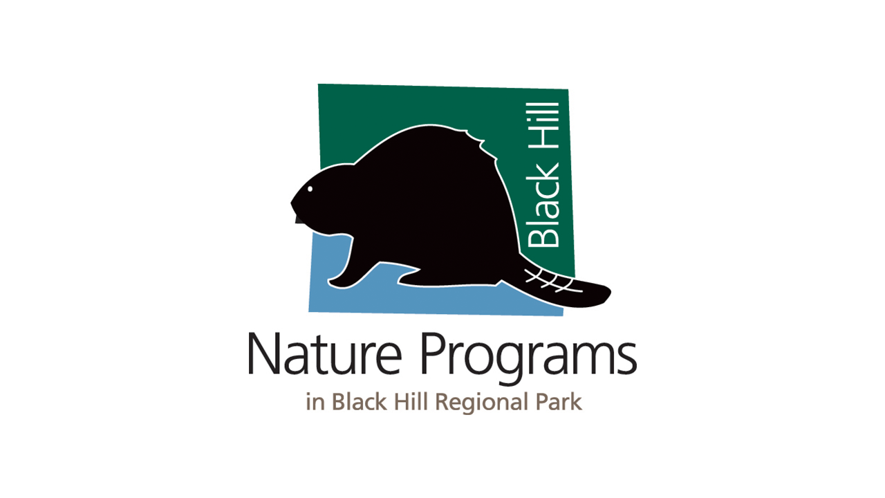 logo black hill regional park