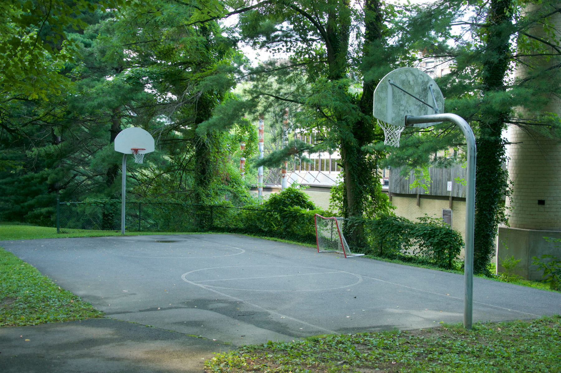 Brookdale Neighborhood Park