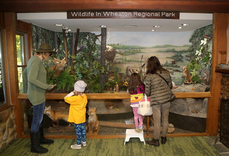 exhibits in Brookside Nature Center