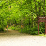 CabinJohn-Trail