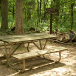 Cabin John Regional Park Campsite