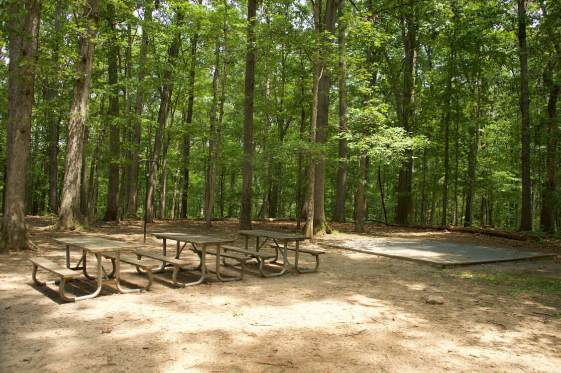 Campsite at Cabin John Regional Park