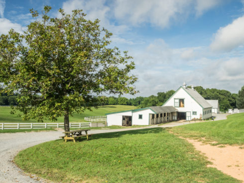 Barn at Callithea Farm Special Park