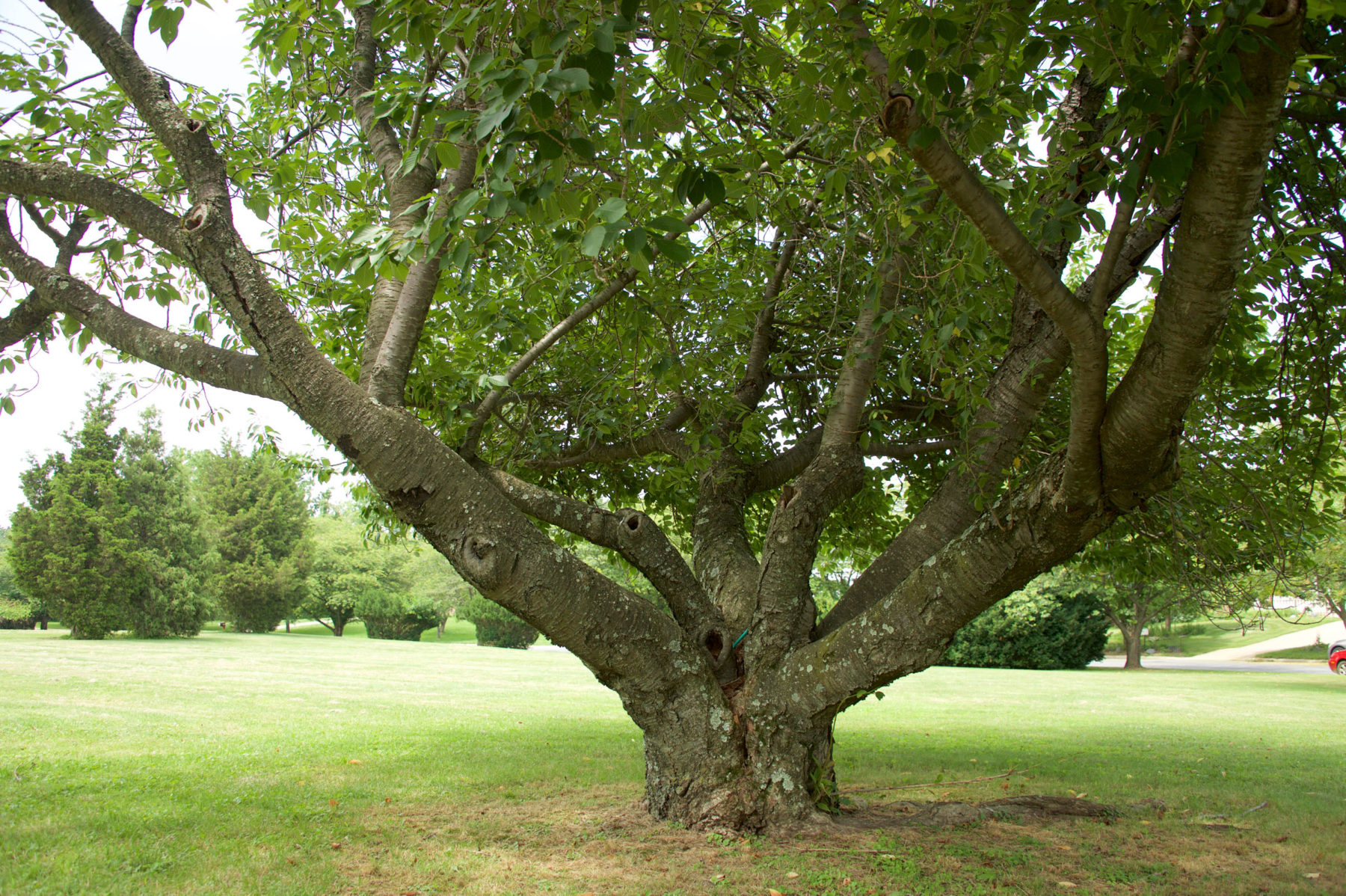 Calverton-Galway Local Park