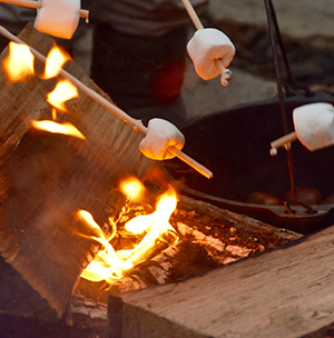 Marshmallows roasting over a campfire.