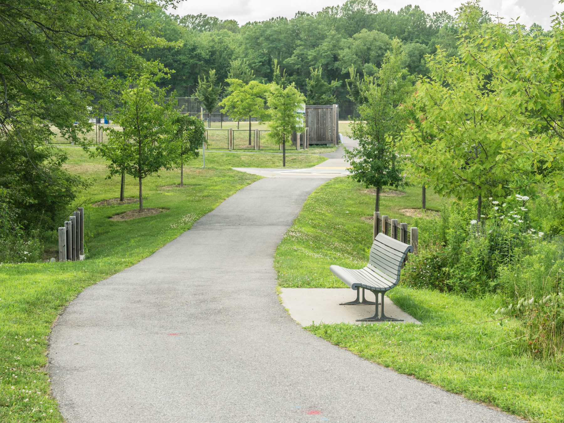 paved path and bench East Norbeck Local Park