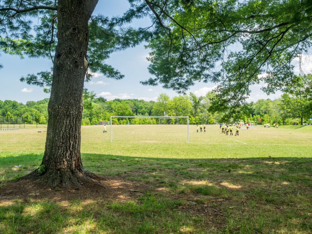 soccer field east norbeck local park