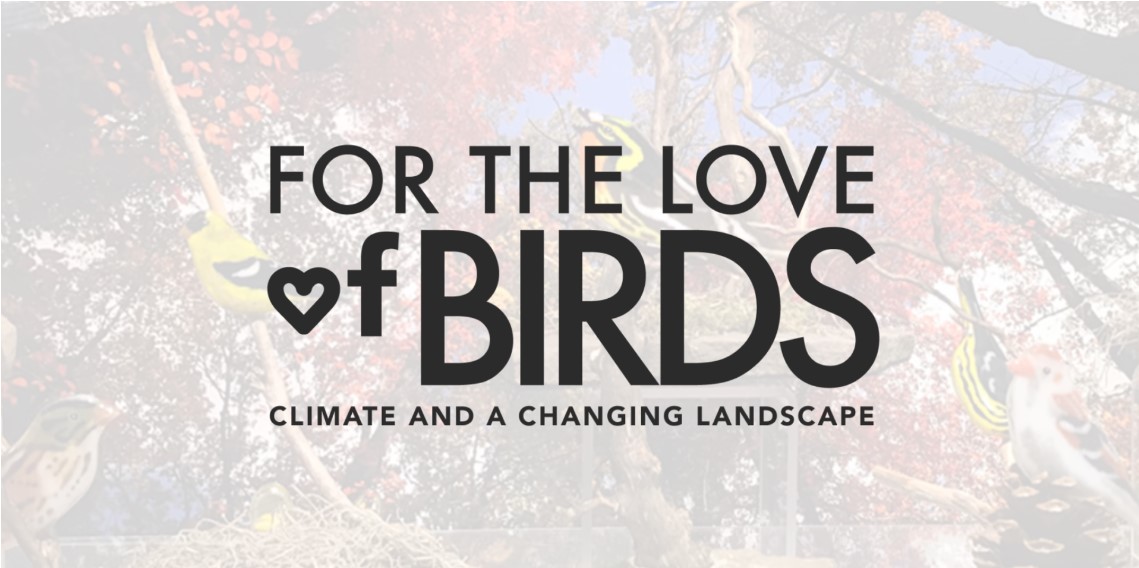 For the Lover of Birds art exhibit logo