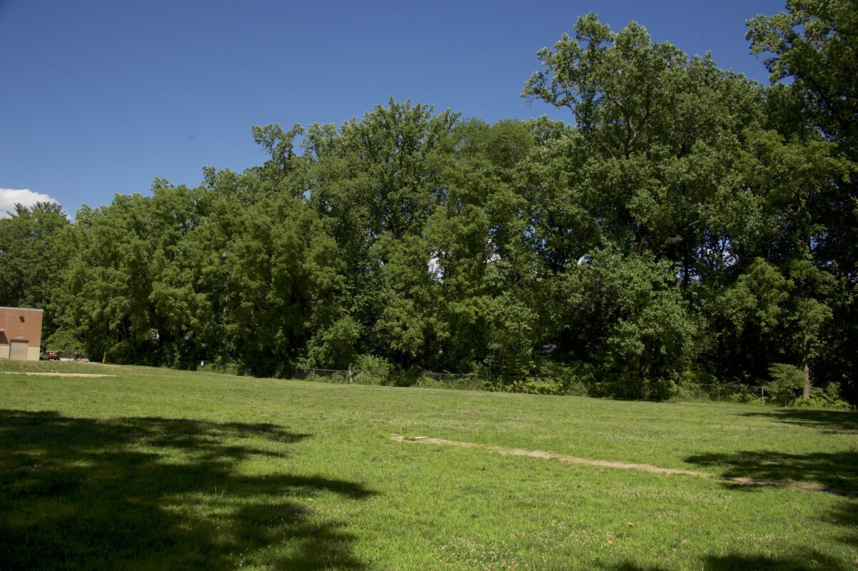 Open Field at Garrett Park Estates Park