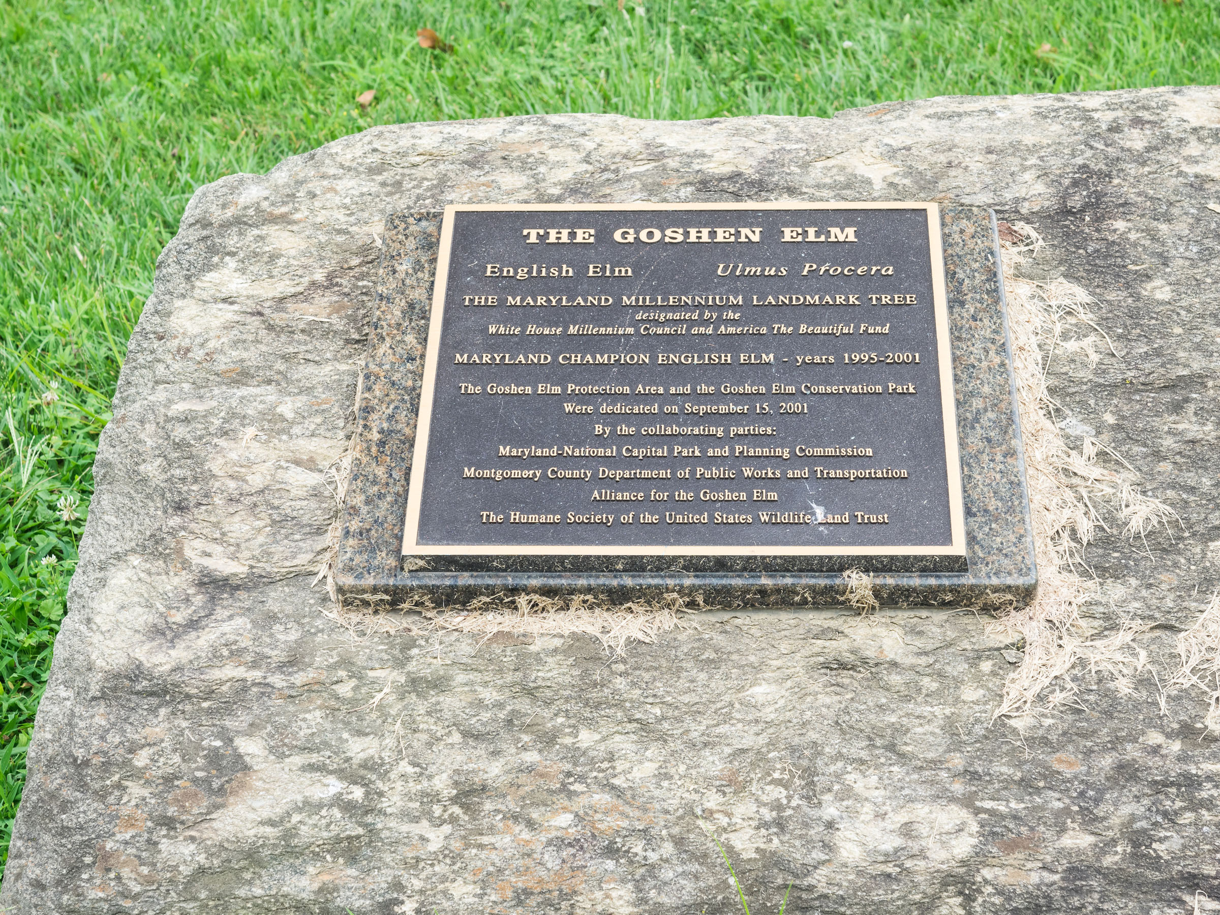 Goshen Elm Conservation Park Montgomery Parks