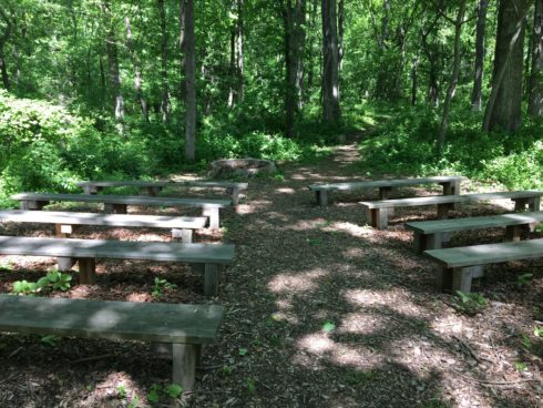 Oak Grove Campfire Area with benches at Locust Grove Nature Center