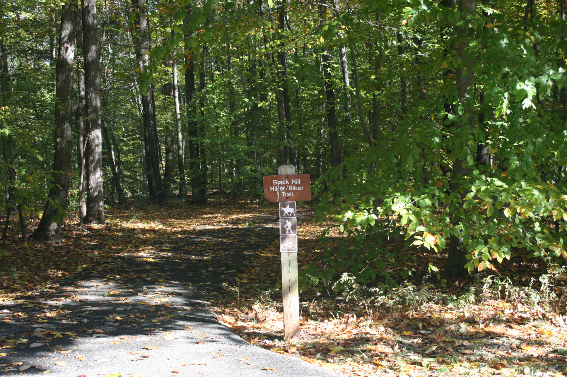 Black Hill Regional Park Trails