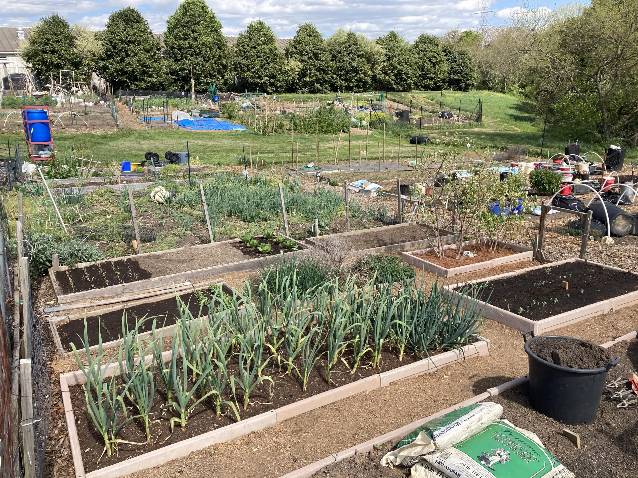 South Germantown Recreational Park - Community Garden - Montgomery Parks