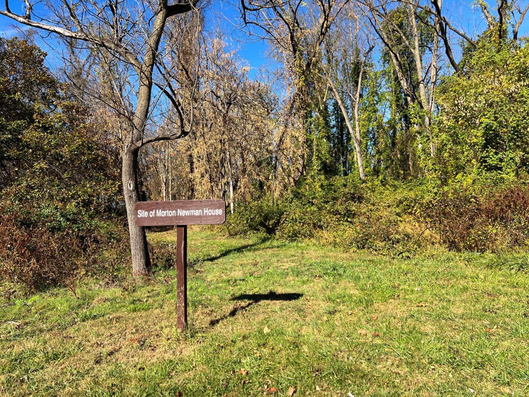 Brown wood sign says "Site of Morton Newman House" in a wooded and grassy area 