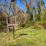 Brown wood sign says "Site of Morton Newman House" in a wooded and grassy area 
