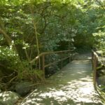 Kensington Parkway Stream Valley Park