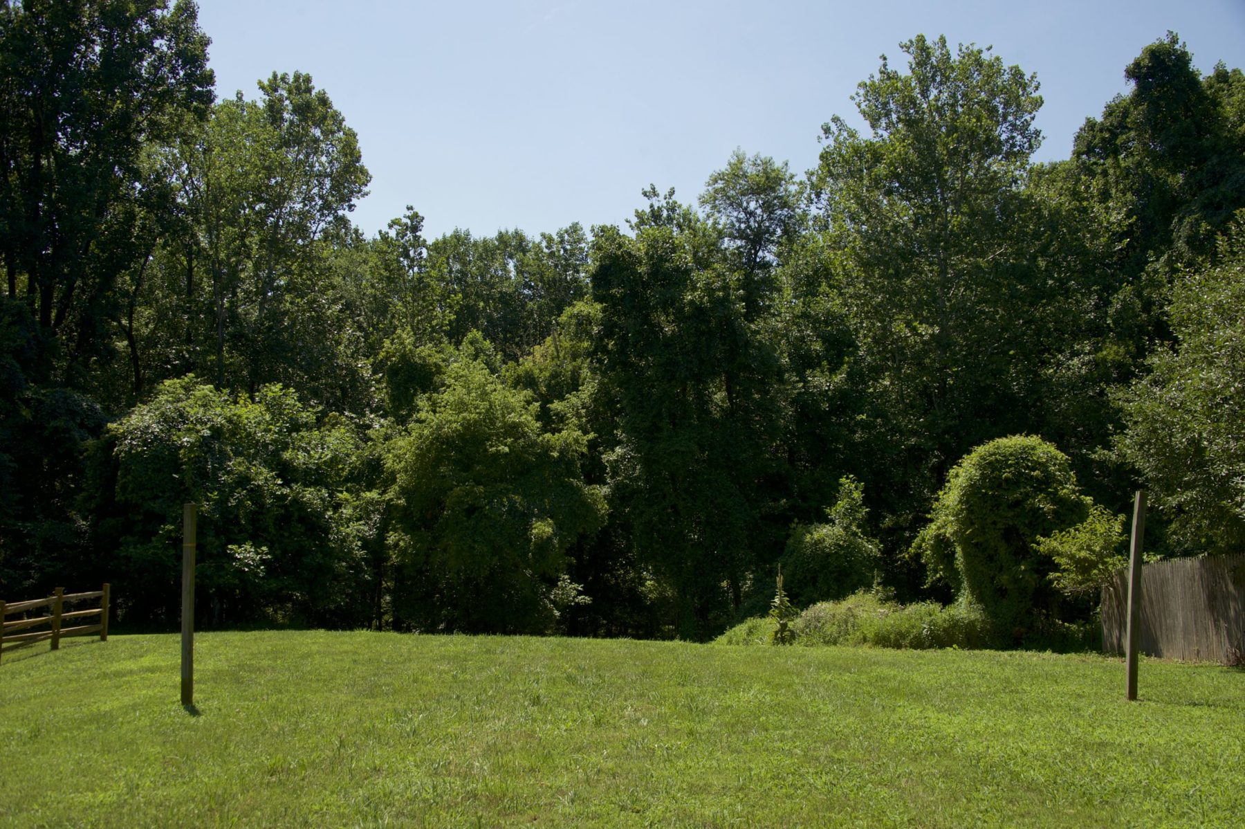 Open Field Kilgour Branch Stream Valley Park