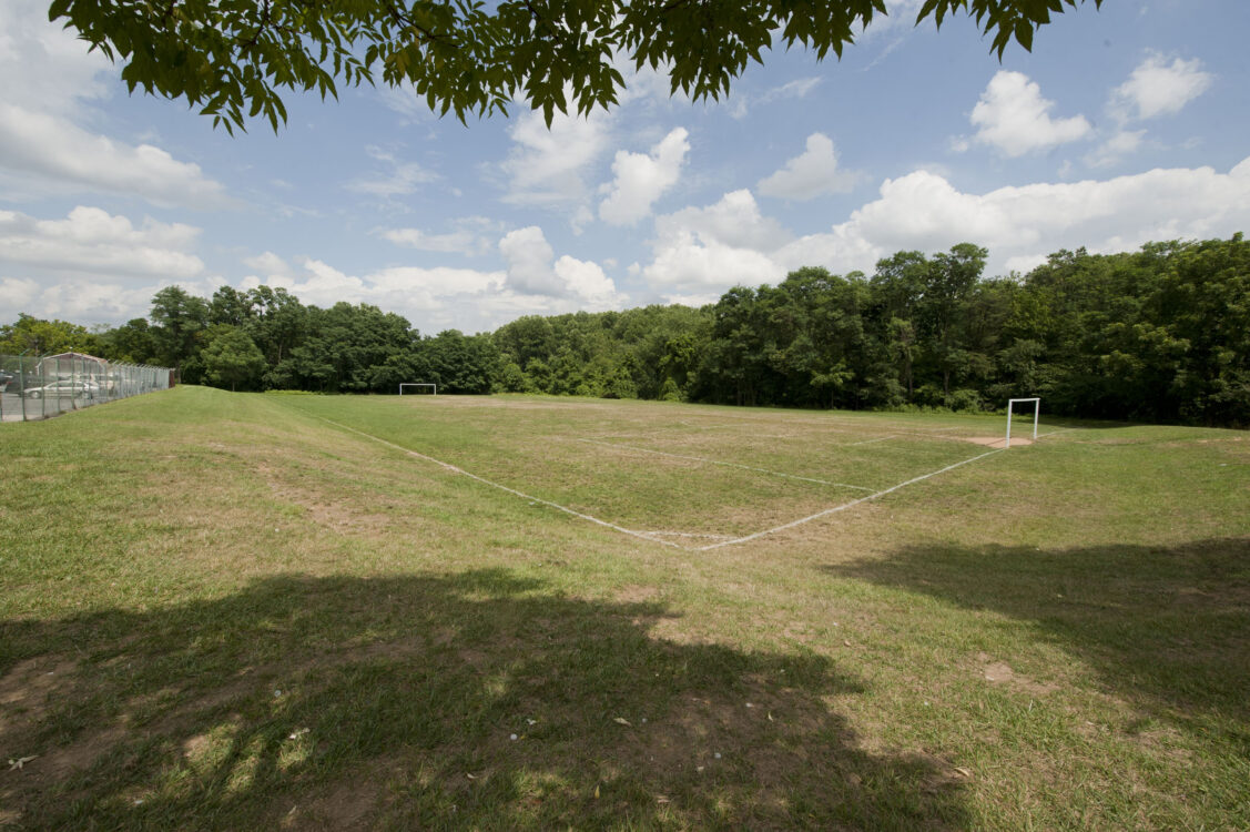 Soccer Field at Saddlebrook Local Park