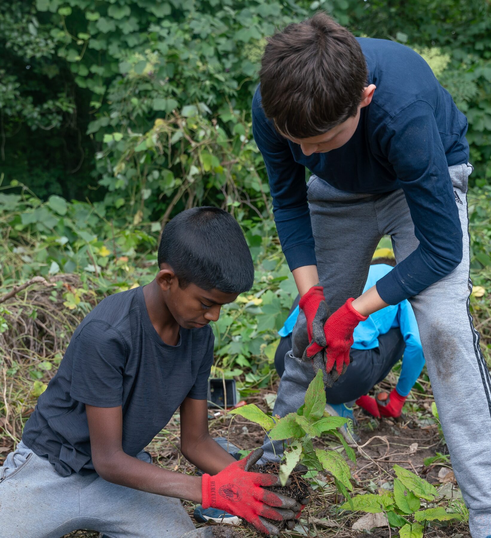 Youth working in the garden
