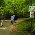 Little Falls Trail – 2017